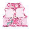 Cool Mesh Dog Harness with Leash
