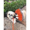 Halloween Dog Harness Dress